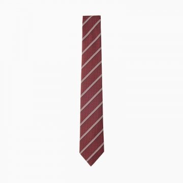 Pánská kravata T9984642